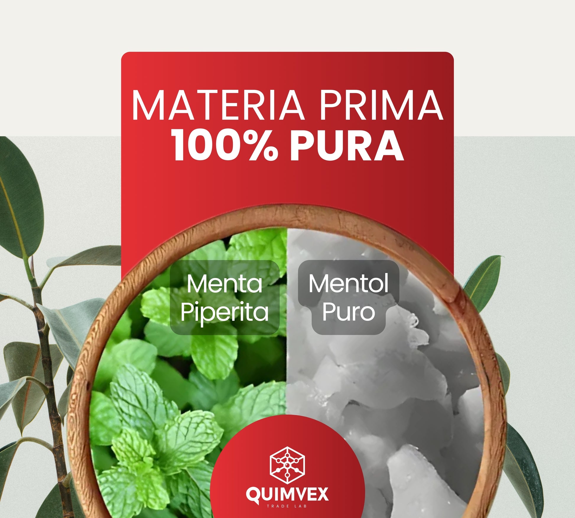 Mentol en Cristales 100gr - Ideal para Cosmética y Aromaterapia